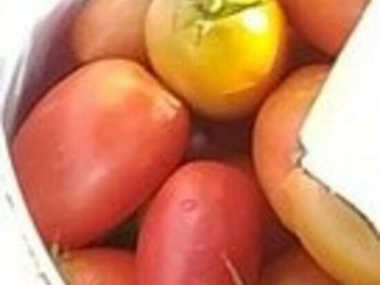 Tomate Olivette rose ELM